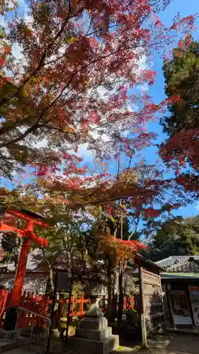 大原野神社(京都府)