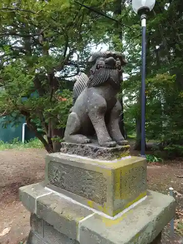 信濃神社の狛犬