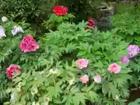 長谷寺の自然