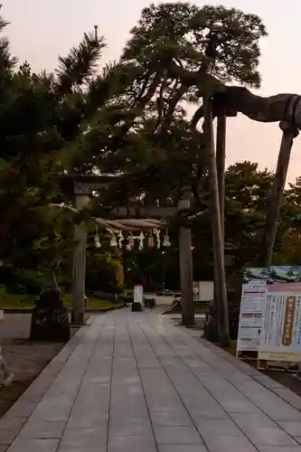 白山神社(新潟県)