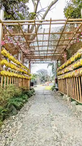 菊田神社の絵馬