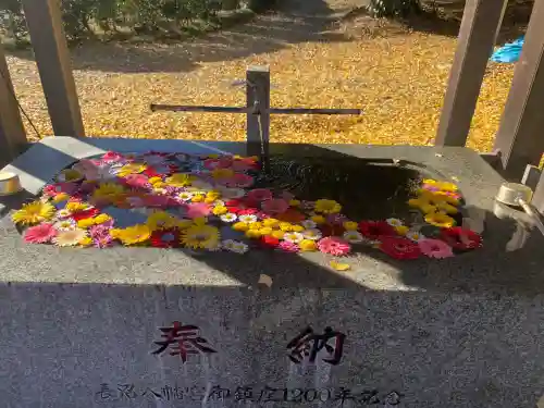 長沼八幡宮(栃木県)
