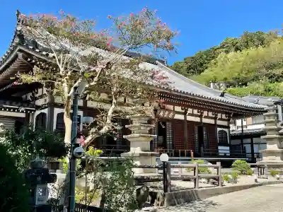 白雲庵(神奈川県)