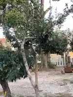 御嶽神社(林島町)の自然