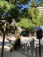 住吉神社の自然