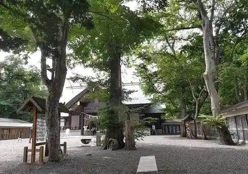 千歳神社の庭園