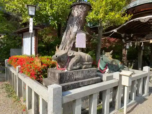 長岡天満宮の狛犬