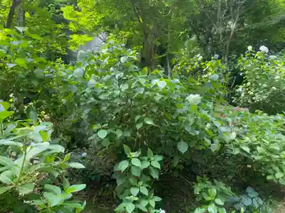 石都々古和気神社(福島県)