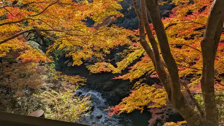 西明寺(京都府)