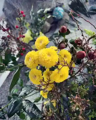 滑川神社 - 仕事と子どもの守り神の手水舎