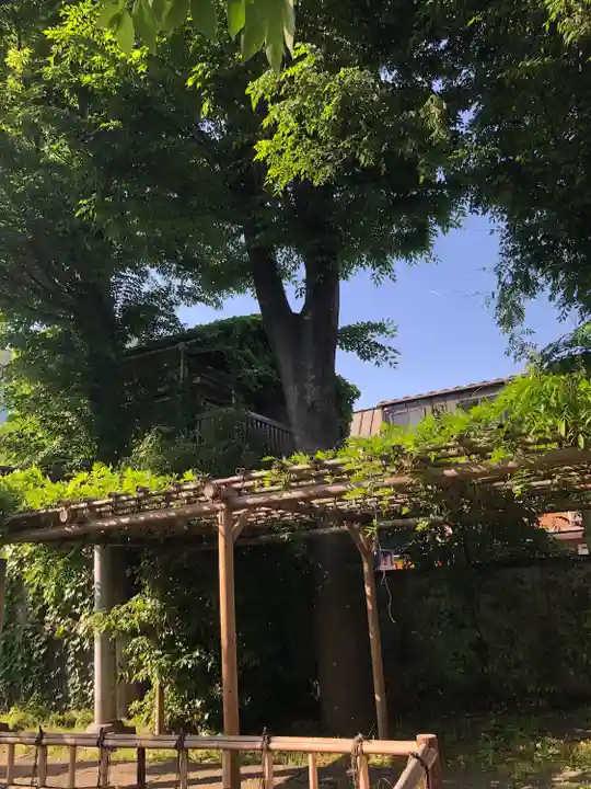 阿佐谷弁天社(東京都)