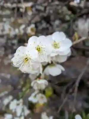 松應寺(東京都)