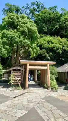 銭洗弁財天宇賀福神社(神奈川県)