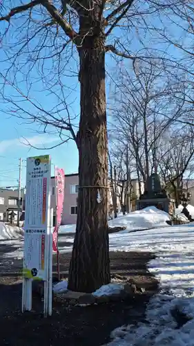 星置神社の自然