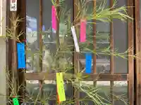 秩父札所十三番 慈眼寺(埼玉県)