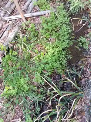 王禅寺(神奈川県)