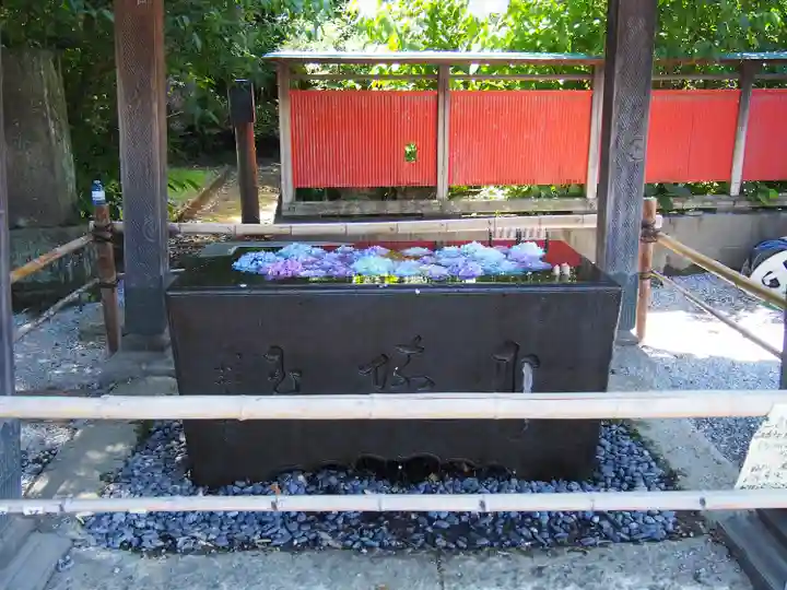 前玉神社の手水舎