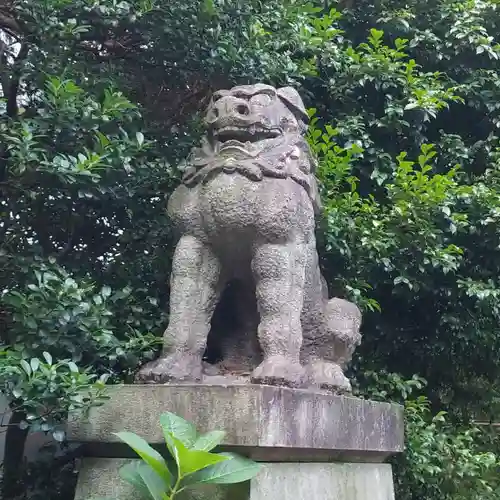 赤坂氷川神社の狛犬