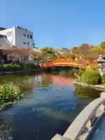 神泉苑(京都府)