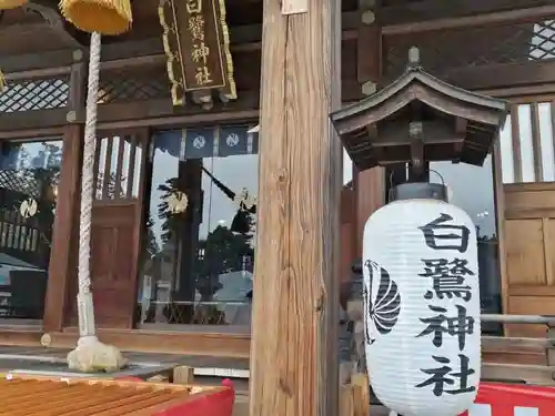 白鷺神社の本殿・本堂