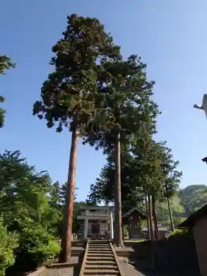 白山神社のその他建物