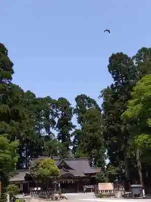 劒神社(福井県)