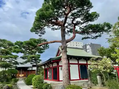 善明寺(東京都)