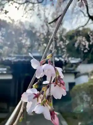 岩屋寺(京都府)