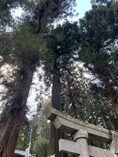 大宮温泉神社(栃木県)