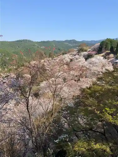 𠮷水神社（吉水神社）(奈良県)
