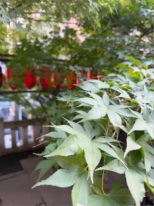 茶ノ木稲荷神社(東京都)