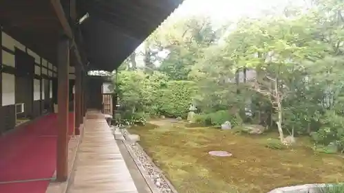 本法寺の庭園