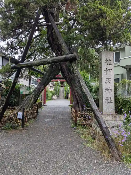 荏柄天神社(神奈川県)