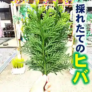 七重浜海津見神社(北海道)(2025年08月30日(土) 09時00分54秒投稿)