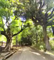 渋谷氷川神社の{uncategorized: "未分類", other: "その他", undefined: "問題あり", building: "その他建物", grave: "お墓", sacred_gate: "鳥居", guardian: "狛犬", statue: "像", buddha: "仏像", history: "歴史", nature: "自然", garden: "庭園", animal: "動物", pagoda: "塔", temizu: "手水舎", mountain_gate: "山門・神門", sanctuary: "本殿・本堂", subordinate: "末社・摂社", art: "芸術", scenery: "景色", jizo: "地蔵", ema: "絵馬", goshuin: "御朱印", omikuji: "おみくじ", items: "授与品その他", amulet: "お守り", goshuincho: "御朱印帳", eats: "食事", festival: "お祭り", votive_dance: "神楽", shichigosan: "七五三参", wedding: "結婚式", experience: "体験その他", initially: "初詣", around: "周辺", anti_infection: "感染症対策"}