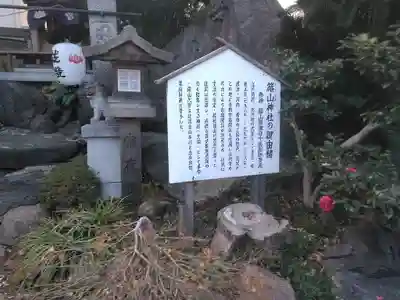難波八阪神社の歴史