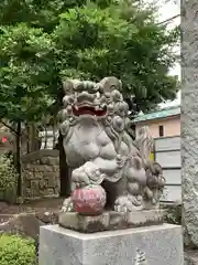 師岡熊野神社の狛犬