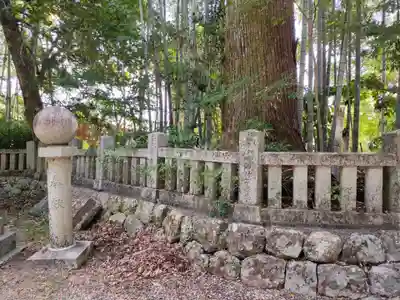 朝倉神社の自然