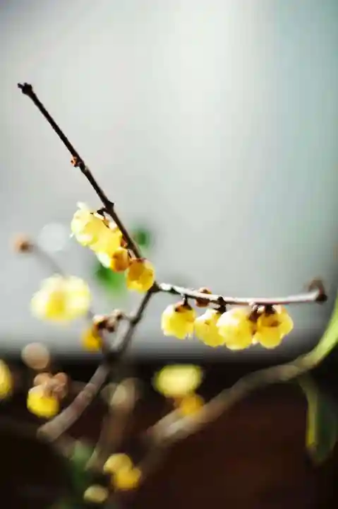 浄土寺(兵庫県)