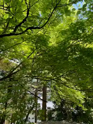 法輪寺(京都府)