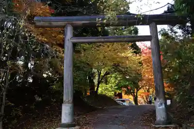 土津神社|こどもと出世の神さまの鳥居