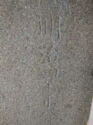 浜松八幡宮(静岡県)