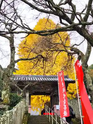弘誓寺の山門・神門