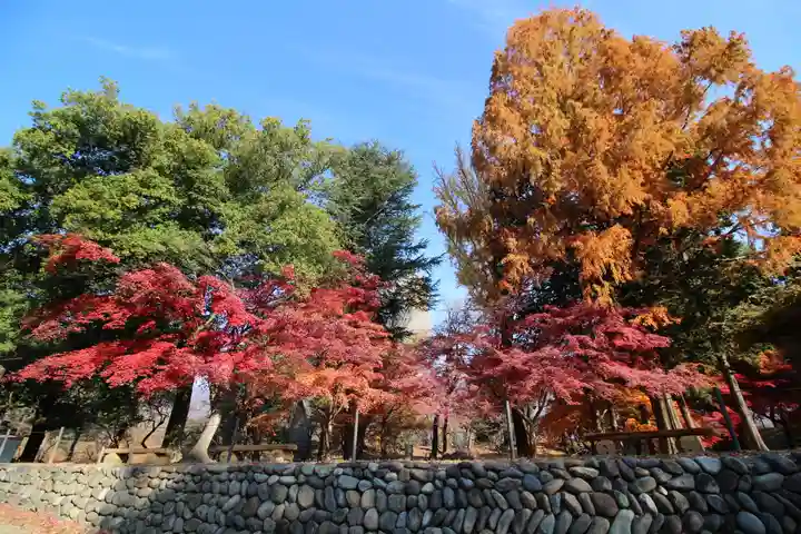 眞田神社の自然