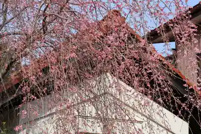 豊景神社の自然