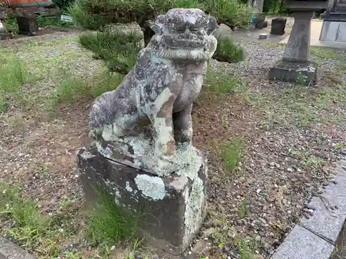 山神社の狛犬