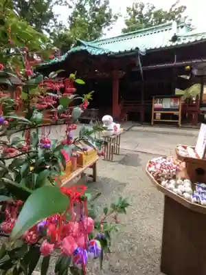 赤坂氷川神社(東京都)