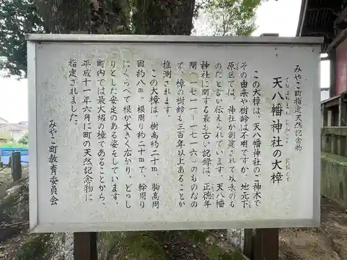 天八幡神社(福岡県)
