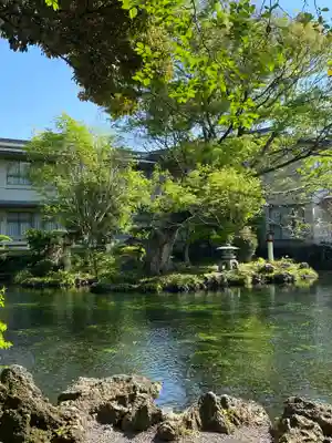 富士山本宮浅間大社(静岡県)