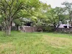 大土神社の自然